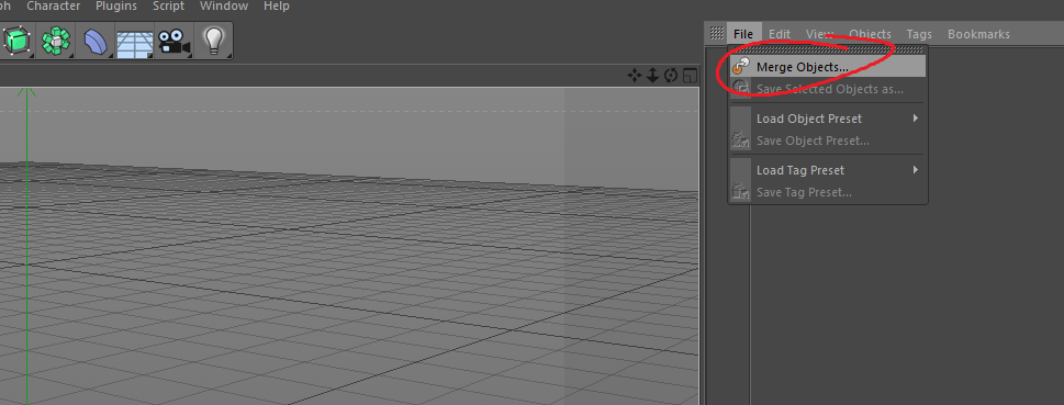 cinema4d_insert