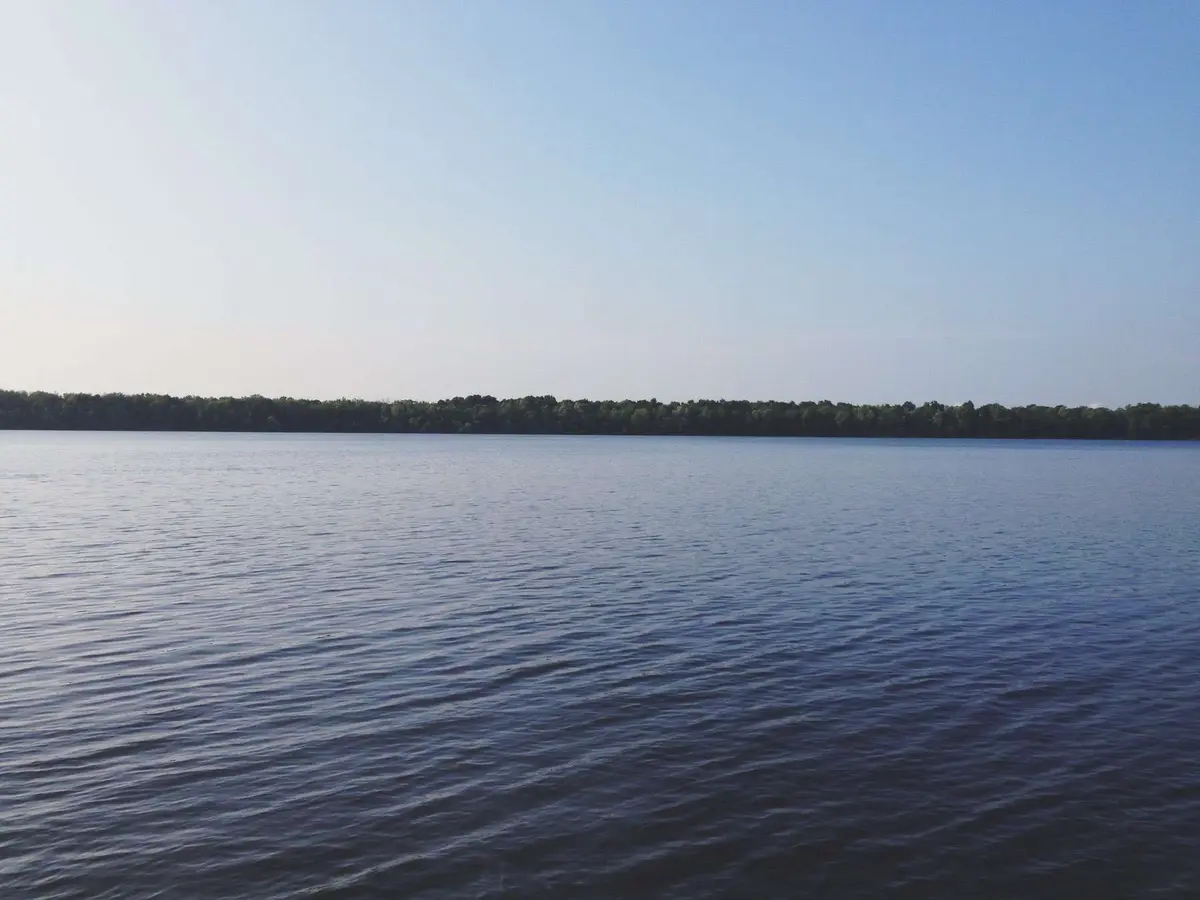 Photo 201
